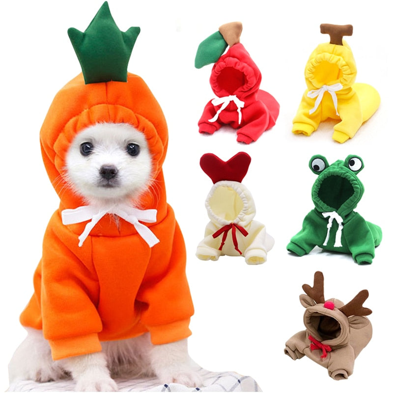 Fruit Pet Coat Hoodies