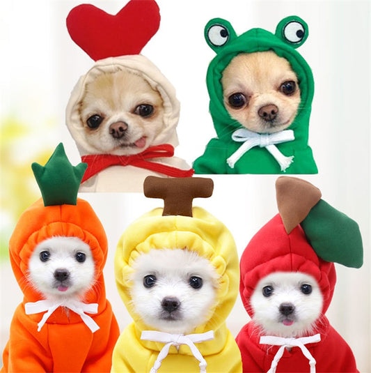 Fruit Pet Coat Hoodies