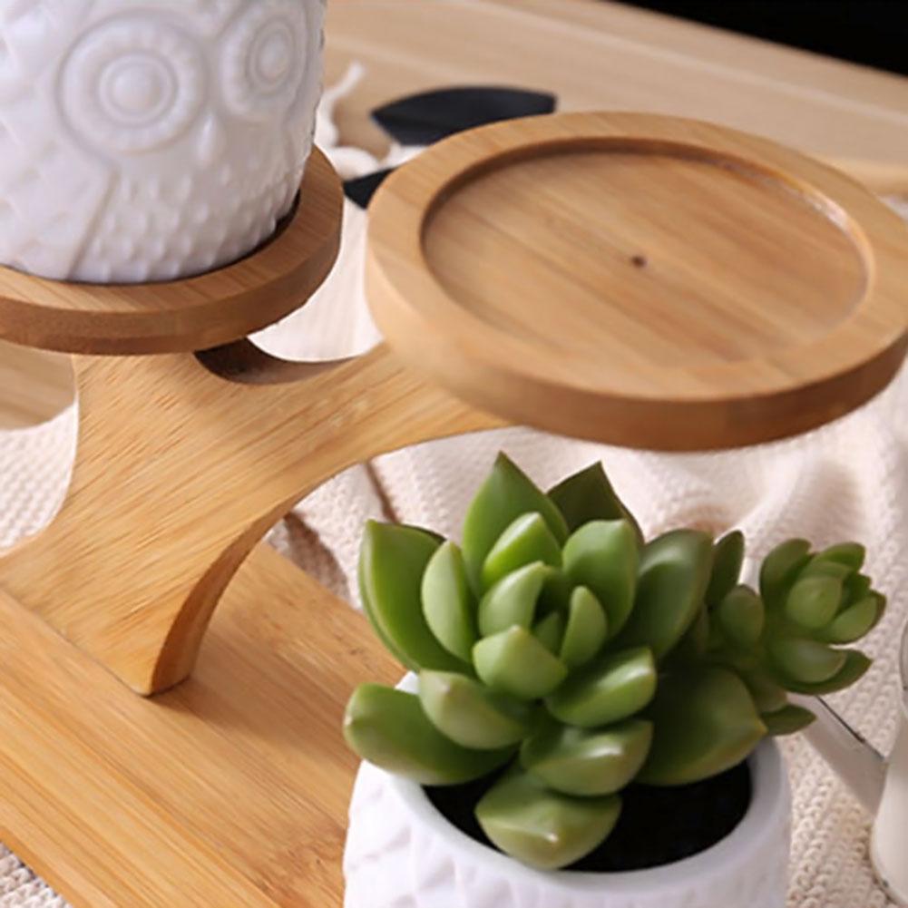 Succulent Pots & Bamboo Shelf