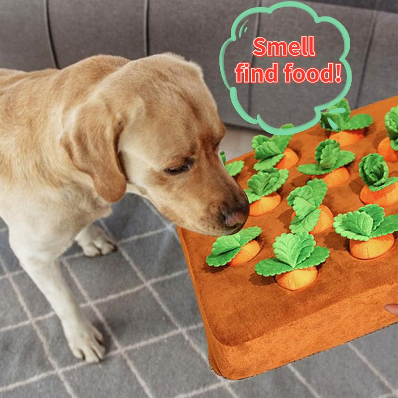 Pet Vegetable Chew Toy